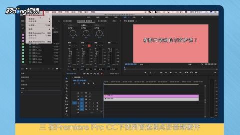 pr錄音設備的開啟如何看影片錄制自己的聲音